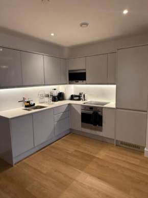 One bedroom apartment with balcony city hospital soho wharf